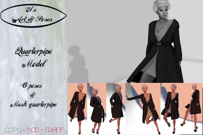 *~* Y's A&P - Quarterpipe Model Poses