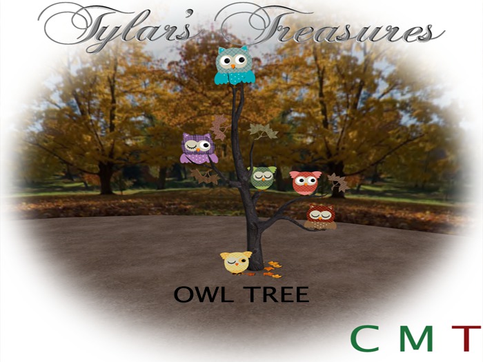 .:TT:. OWL TREE BOXED