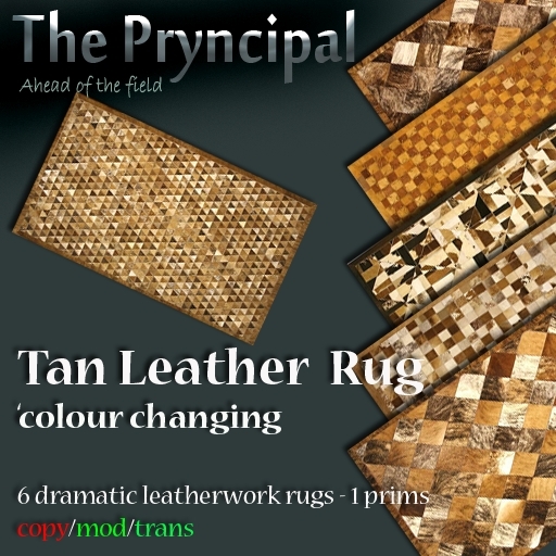 Pryncipal Design Company - Tan Leather Rug