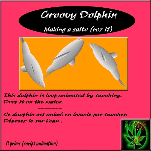 **Groovy Dolphin - Making a salto(rez it)