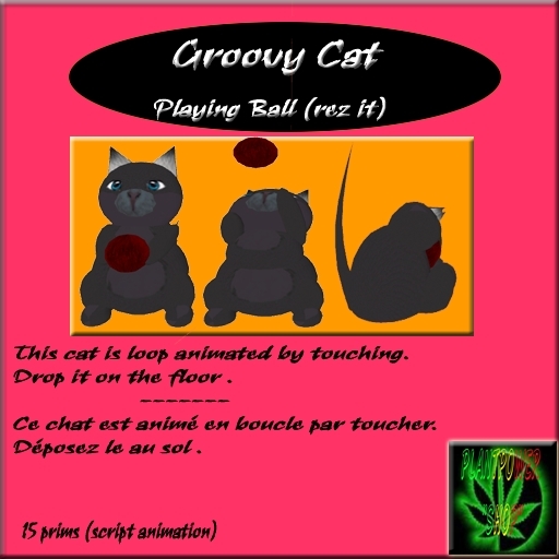 **Groovy Cat - Playing ball