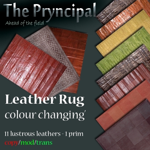 Pryncipal Design Company - Woven Leather Rug