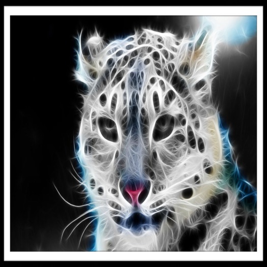 lynxx (65% off)