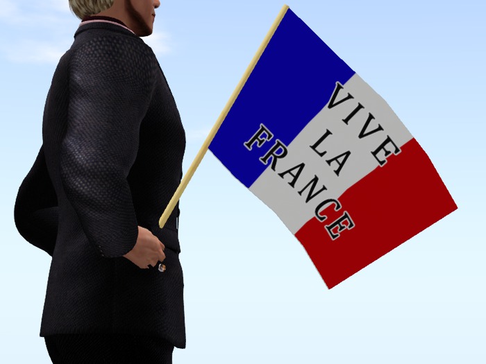 Vive la France Drapeau