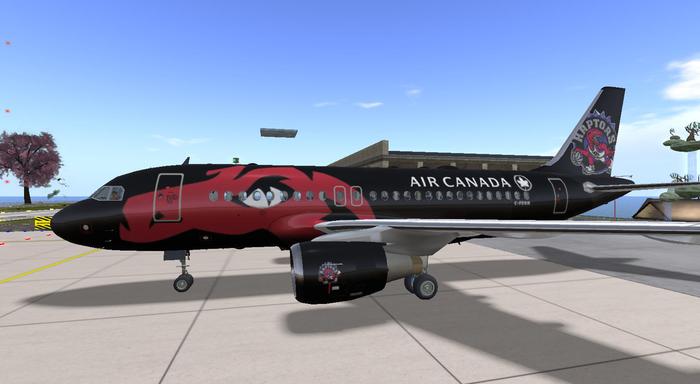 Air Canda Raptors D318 paint
