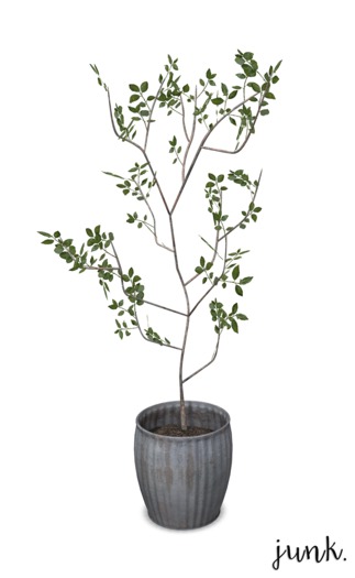 junk. potted tree.