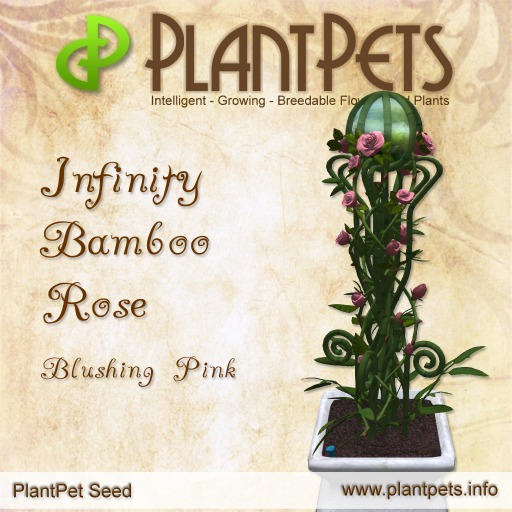 PlantPet Seed [Infinity Bamboo Rose *Blushing Pink*]