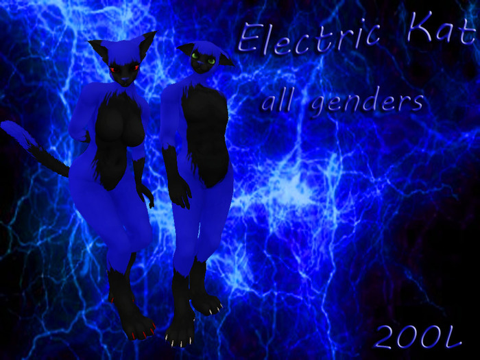ectric blue kat
