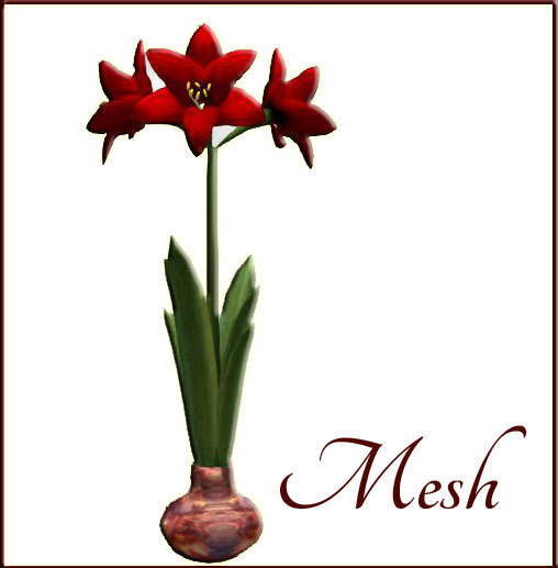 Mesh - Amaryllis  red