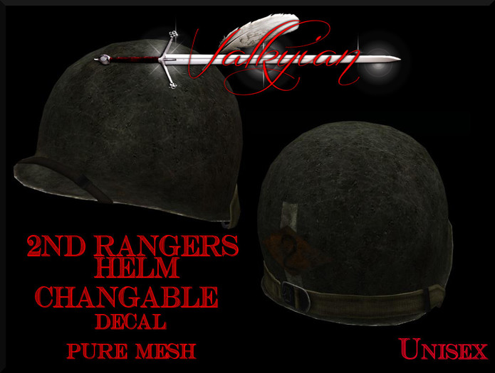 ~Valkyrian~Airborne FitMesh_Mens Uniform L(boxed)