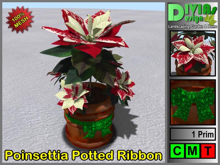 Poinsettia Potted with Ribbon