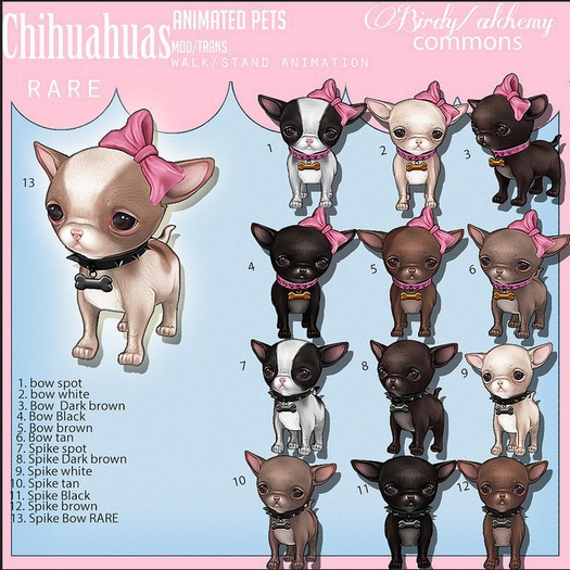 Alchemy/Birdy - Chi Chi Chihuahua - Bow - Dark Brown [box]