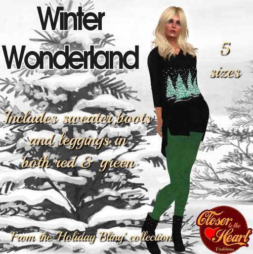 Winter Wonderland Outfit***