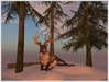 Snapshot 009