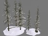 Winter wildlife 005