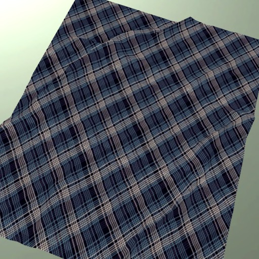 Scholar Rug By Palomma