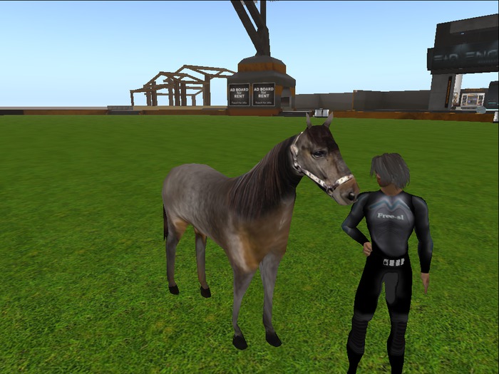 horse mesh  caballo