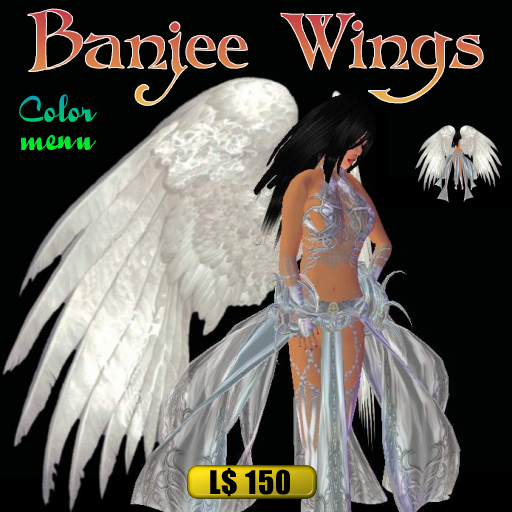 Pardoes Banjee wings