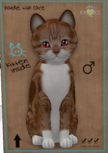 KittyCatS Box - M-ASRWT-Pa(CB)Na-Ge-Ge-Si(My)No