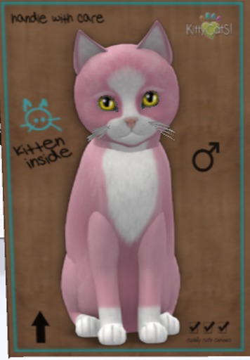 KittyCatS Box - M-ChCaPiWh1-GeSu(CB)Fl-Ge-My-Si(Gu)No