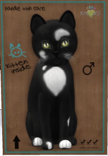 KittyCatS Box - M-GD2-ChLe(MS)Tw-Ge-Ge-Wh(Pl)No