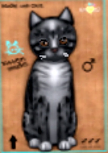 KittyCatS Box - M-GS2-Mo(CB)Na-Ge_My-Si(My)Te