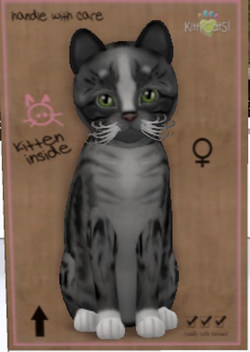 KittyCatS Box - M-GS4-GeMe(CB)Na-Ge-Ge-2TBW(Cu)No