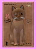 KittyCatS Box - Burmese - Flame