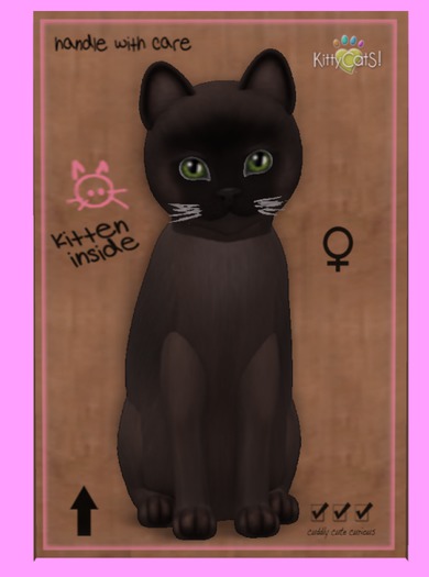 KittyCatS Box - Burmese - Sable