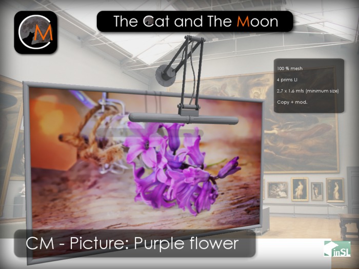 CM - Picture: Purple flower