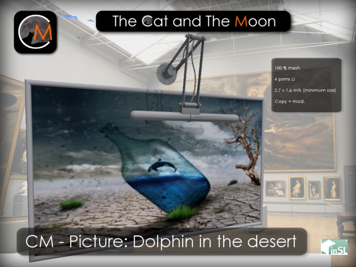 CM - Picture: Dolphin in the desert