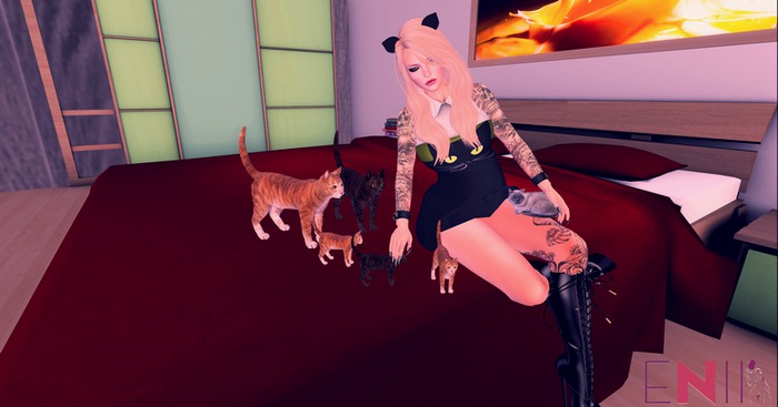 ENIIPose-LoveCats