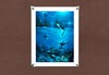 Second Life Marketplace - DD Aquatic Posters Oraca Storm