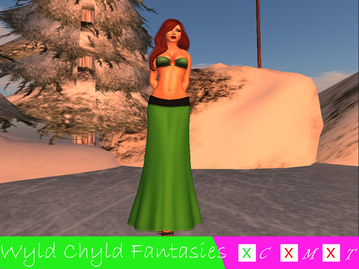 :WCF: Christmas Cheer Holly W/ Appliers