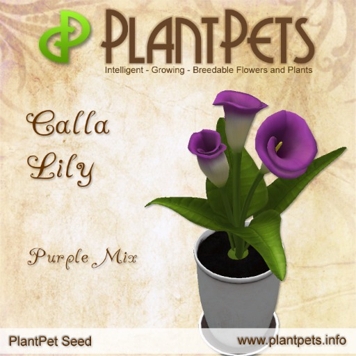 PlantPet Seed [Calla Lily *Purple Mix*]