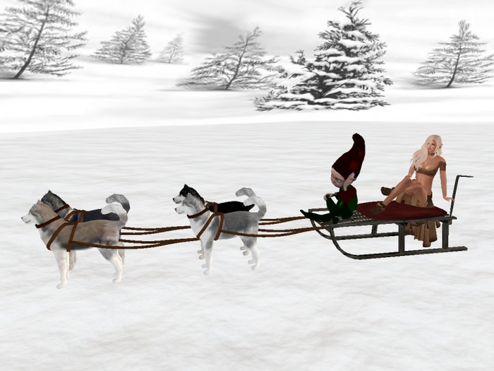 *Xtal* Husky Sled Ride!
