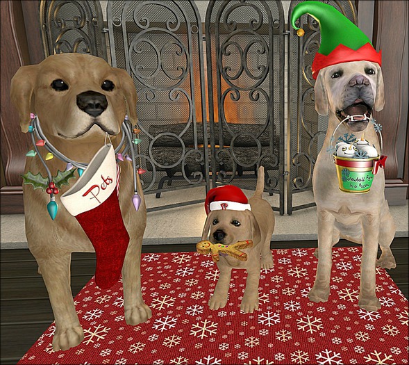 {ACD} Pups Family Christmas