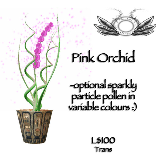 Orchid - pink - the perfect gift :)