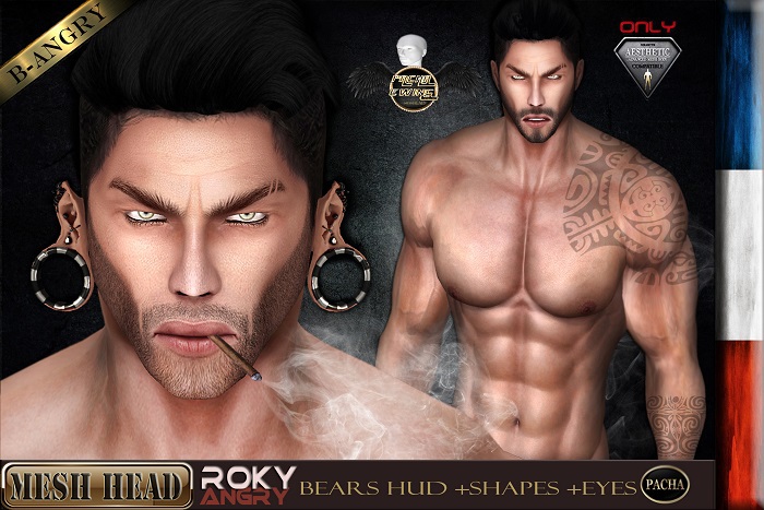 Aesthetic -PachaEwing- Mesh Head "Roky" Angry