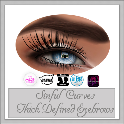 Avada~ Thick Defined Eyebrows Almost Black