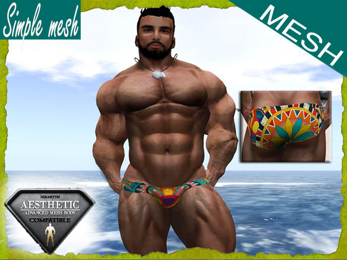 SM Colorful Hot Speedo Aesthetic