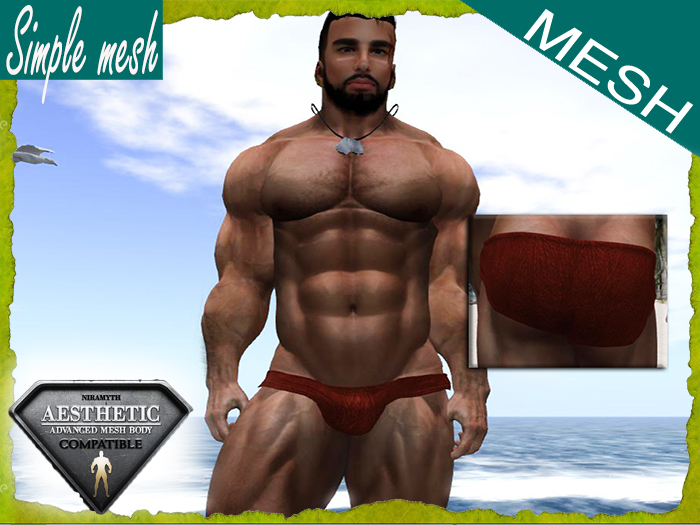 SM Red Hot Speedo Aesthetic