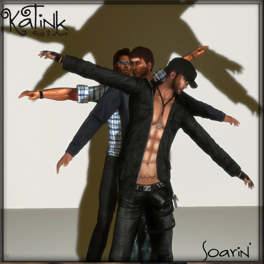 KaTink - Soarin'