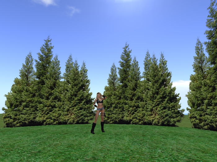 TREES PLATFORM Skybox Round 2 prims low LI copy modify forest privacy background