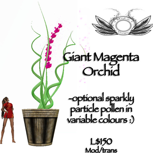Giant orchid - magenta
