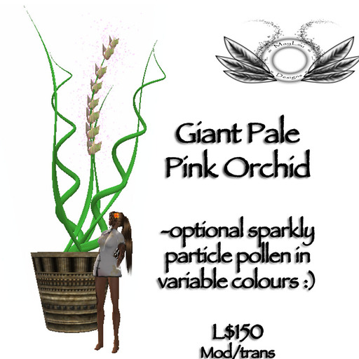 Giant orchid - pale pink