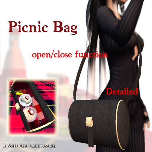!!DDD!! Picnic Bag