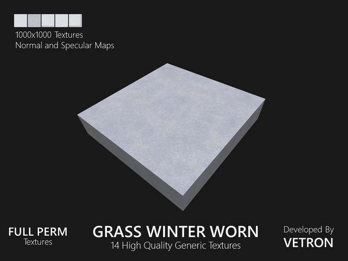 [Vetron] Grass Winter Worn