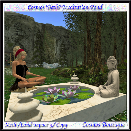 Cosmos 'Bethi' Meditation Pond (Box)