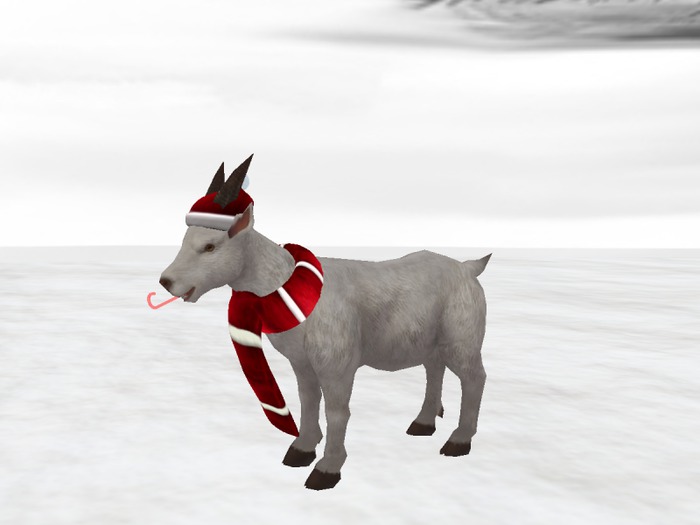 *Xtal* Candy Cane Giver Goat Info